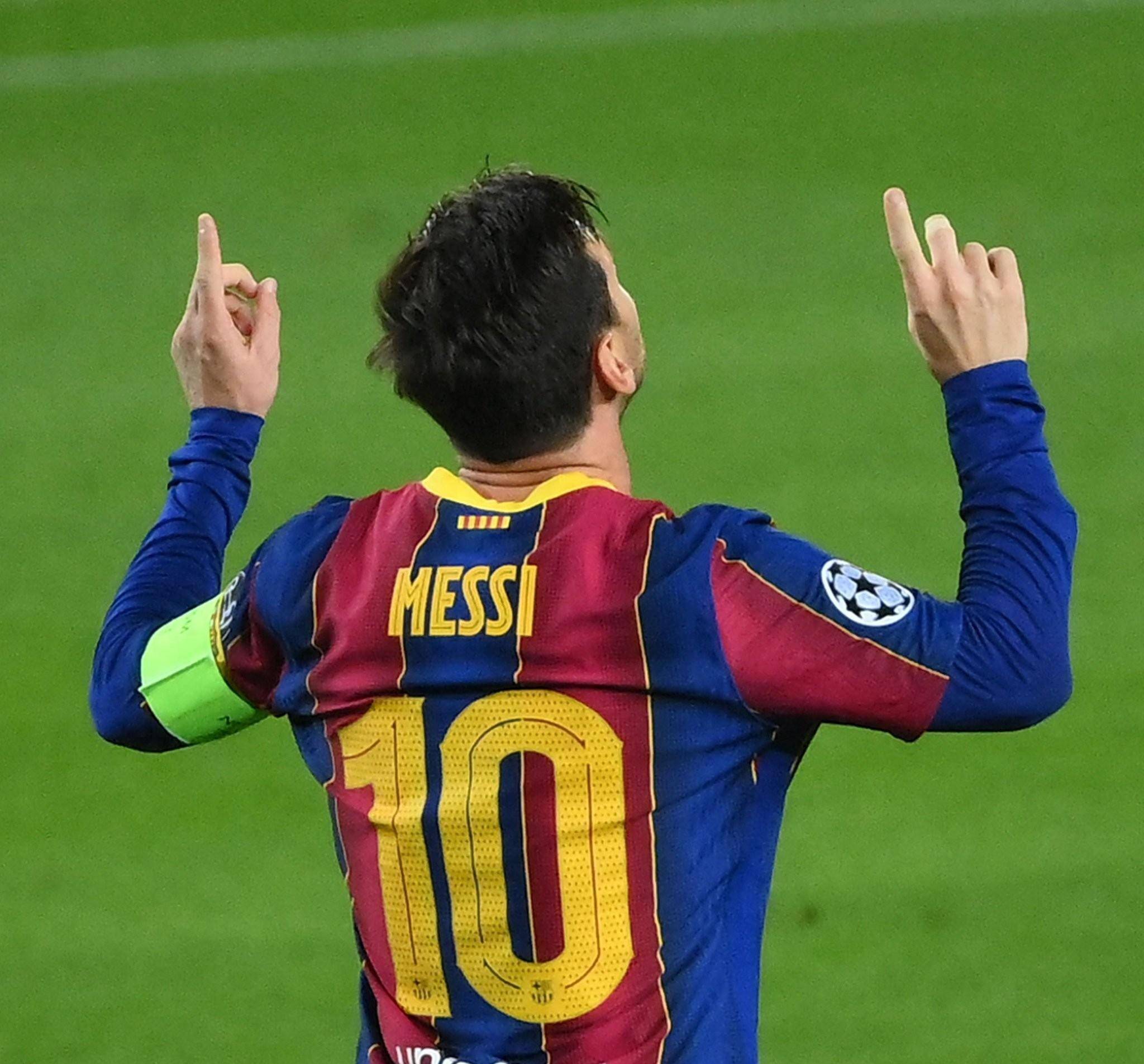 送入网窝 送入网窝